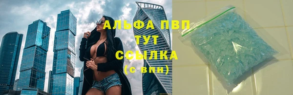 прущие грибы Ивангород