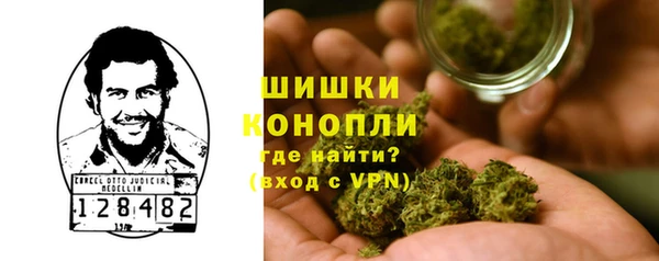 амф Осинники