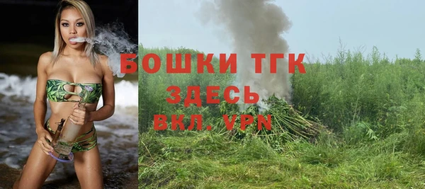 амф Осинники