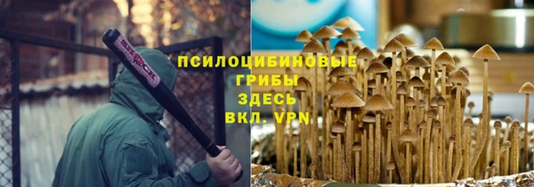 МДПВ Нязепетровск