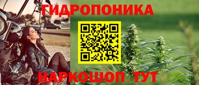 сатива Бийск