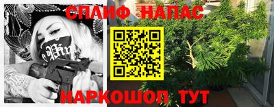 сатива Бийск