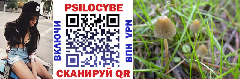 Галлюциногенные грибы MAGIC MUSHROOMS  гидра как зайти  Качканар 