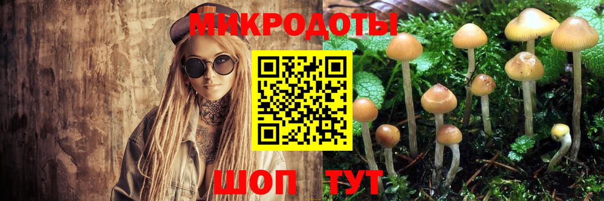 Псилоцибиновые грибы мухоморы  Вход с VPN  Качканар 